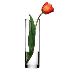 Lillevaas Pasabahce Flora, 26 cm цена и информация | Вазы | kaup24.ee