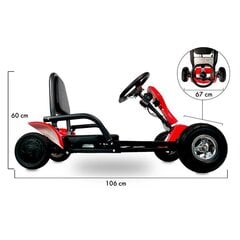 Elektrikart Beaster Scooter BS306 hind ja info | Poiste mänguasjad | kaup24.ee