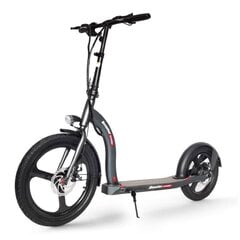 Elektritõukeratas Beaster Scooter VOYAGER, 350 W, 36 V, 10 Ah, 25 km / h hind ja info | Elektritõukerattad | kaup24.ee