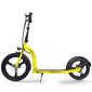 Elektritõukeratas Beaster Scooter VOYAGER, 350 W, 36 V, 10 Ah, 25 km / h hind ja info | Elektritõukerattad | kaup24.ee