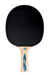 Ракетка для настольного тенниса Ovtcharov 700 FSC цена и информация | Ракетки для настольного тенниса, чехлы и наборы | kaup24.ee