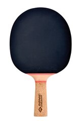 Lauatennise reket Donic Persson 600 цена и информация | Ракетки для настольного тенниса, чехлы и наборы | kaup24.ee