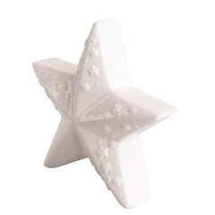 Фарфоровая фигурка звезды, 13x5,5x12 см цена и информация | Детали интерьера | kaup24.ee