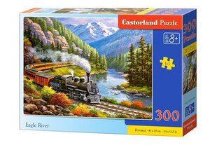 Пазл Castorland Eagle River 300 цена и информация | Пазлы | kaup24.ee