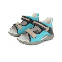 Poiste sandaalid D.D. Step AC290-611BM, nahast, Calypso Sky цена и информация | Детские сандали | kaup24.ee