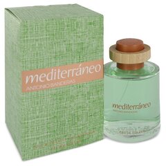 Antonio Banderas Meditteraneo EDT meestele 100 ml цена и информация | Мужские духи | kaup24.ee