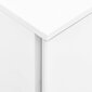 Mobiilne kontorikapp vidaXL, valge, 39 x 45 x 67 cm, teras цена и информация | Elutoa väikesed kapid | kaup24.ee