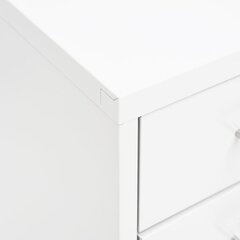 Mobiilne kontorikapp vidaXL, valge, 28 x 41 x 109 cm, metall hind ja info | Elutoa väikesed kapid | kaup24.ee