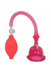 Vaginaalne pump "Pussy Pump", roosa hind ja info | Peenise- ja kliitoripumbad | kaup24.ee