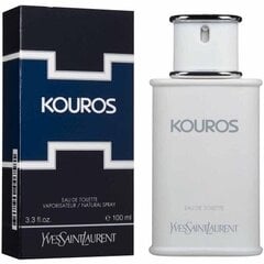 Yves Saint Laurent Kouros EDT для мужчин 100 мл цена и информация | Женские духи | kaup24.ee