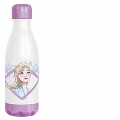 Pudel Frozen II Elements (560 ml) цена и информация | Фляги для воды | kaup24.ee