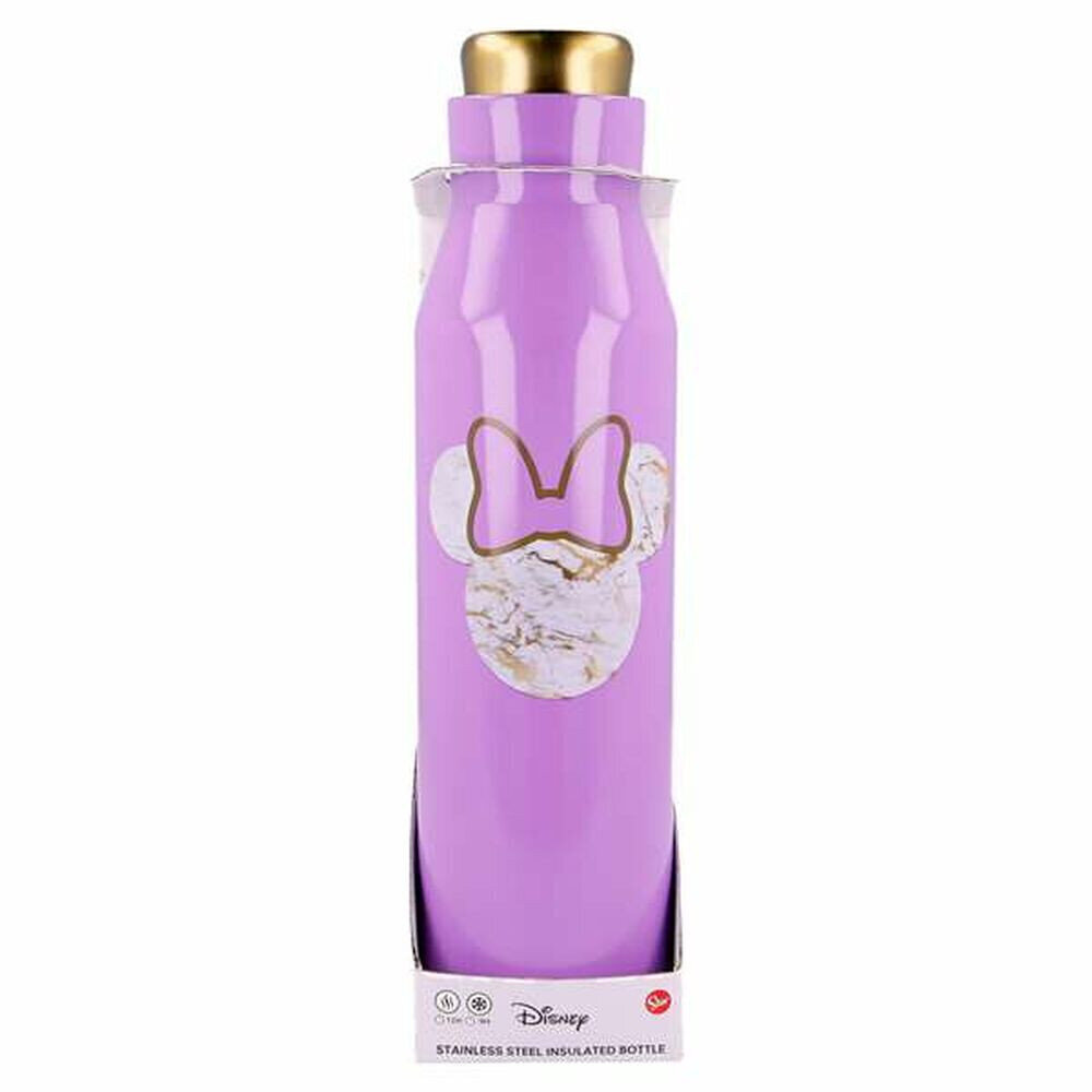 Roostevabast Terasest Plasku Minnie (580 ml) hind ja info | Joogipudelid | kaup24.ee