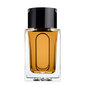 Parfüüm Dunhill 100 ml hind ja info | Meeste parfüümid | kaup24.ee