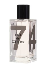 Iceberg Eau de Iceberg Jasmin EDT 100ml цена и информация | Женские духи | kaup24.ee