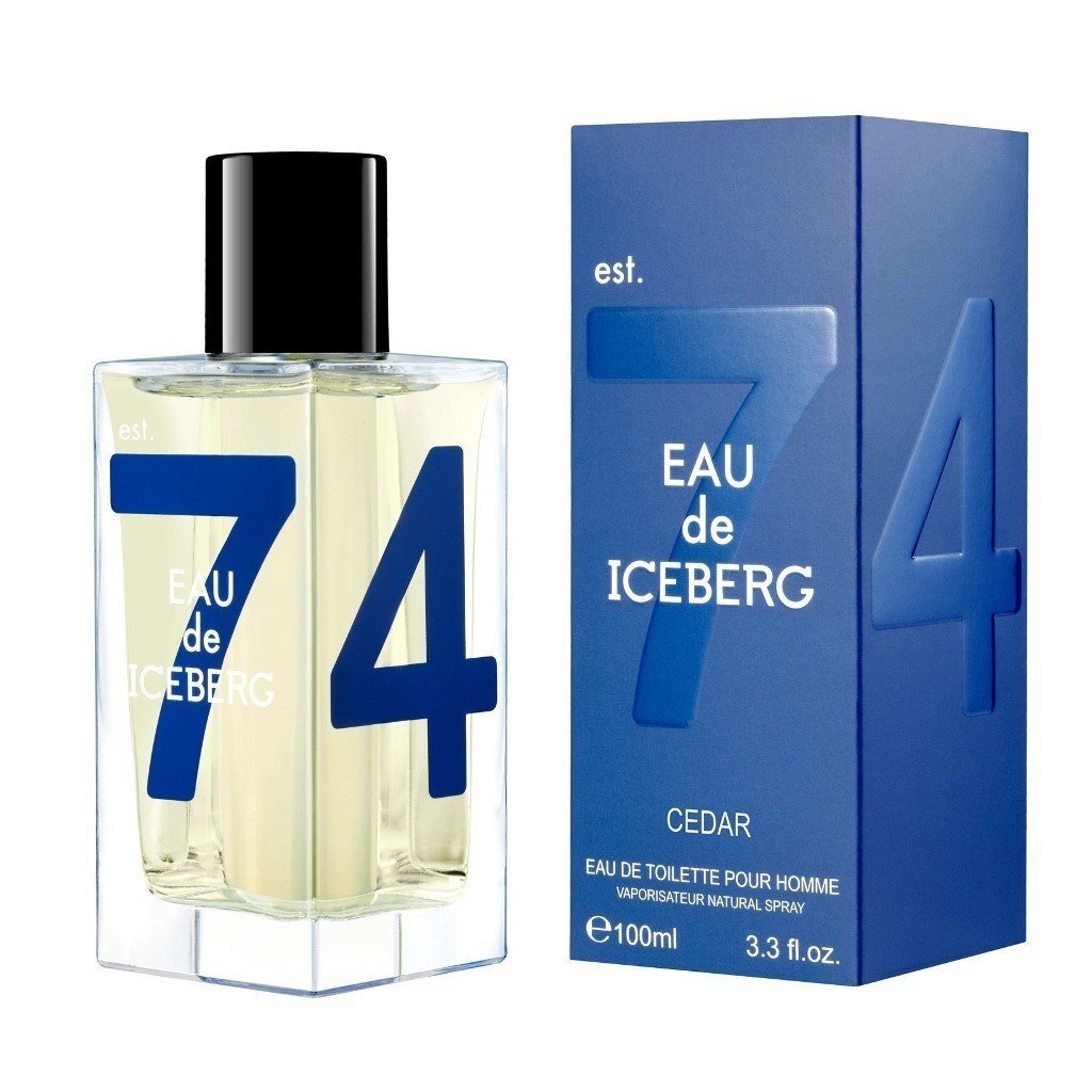 Iceberg Eau de Iceberg Cedar pour Homme EDT 100ml hind ja info | Meeste parfüümid | kaup24.ee