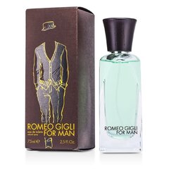 Tualettvesi Romeo Gigli Romeo Gigli for Man EDT meestele 75 ml hind ja info | Meeste parfüümid | kaup24.ee