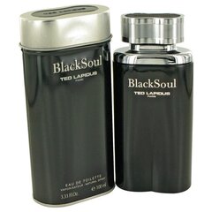 Meeste parfüüm Black Soul Ted Lapidus EDT: Maht - 100 ml hind ja info | Meeste parfüümid | kaup24.ee