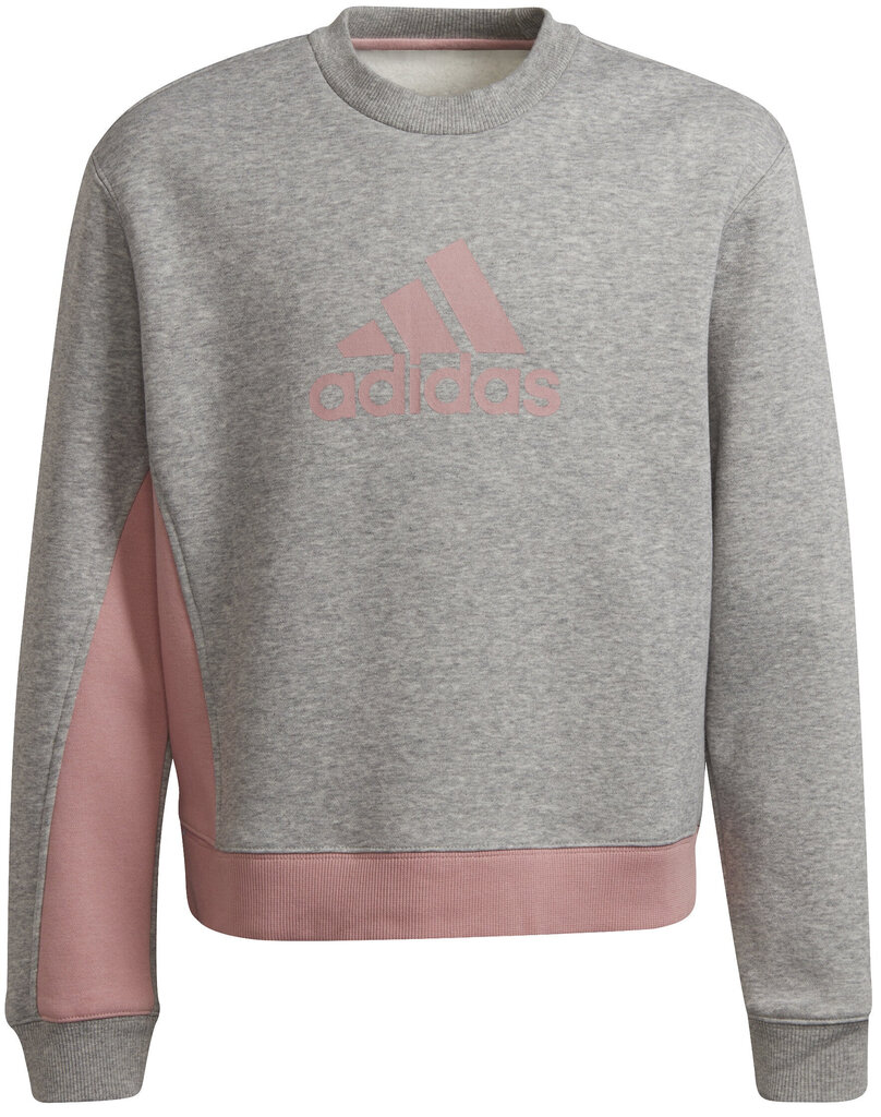 Adidas Spordikostüümid G Bos Co Ts Grey Pink H57225 H57225/140 hind ja info | Tüdrukute retuusid, püksid | kaup24.ee