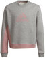 Adidas Spordikostüümid G Bos Co Ts Grey Pink H57225 H57225/140 hind ja info | Tüdrukute retuusid, püksid | kaup24.ee