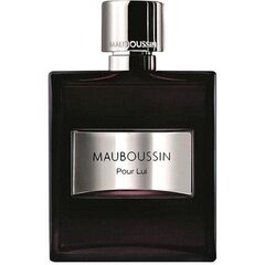 Parfüümvesi Mauboussin Pour Lui EDP meestele 100 ml hind ja info | Meeste parfüümid | kaup24.ee