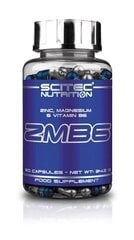 Пищевая добавка Scitec ZMB6, 60 капсул цена и информация | Аминокислоты | kaup24.ee