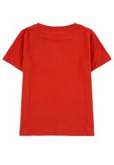 Блузка с коротким рукавом для мальчиков, Tom Tailor  цена и информация | Рубашки для мальчиков | kaup24.ee