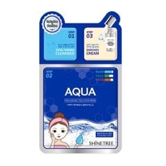 Näomask Aqua Shinetree Hüaluroonhape (28 ml) hind ja info | Näomaskid, silmamaskid | kaup24.ee