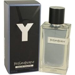 Yves Saint Laurent Y EDT meestele 100 ml hind ja info | Yves Saint Laurent Kosmeetika, parfüümid | kaup24.ee