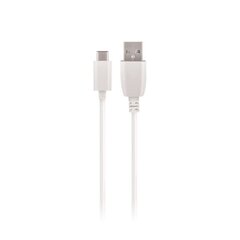 Maxlife Type-C Fast Charge cable 2A 3m White kaina ir informacija | Mobiiltelefonide kaablid | kaup24.ee