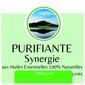 Looduslike eeterlike õlide segu Synergy of Purifying, 10ml цена и информация | Eeterlikud ja kosmeetilised õlid | kaup24.ee