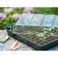 409320 Nature Propagator Mini Kit 7x11 Cells цена и информация | Aiatööriistad | kaup24.ee