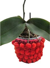 Dekoratiivsed lillepoti kardinad / lillepotid / käsitöö hind ja info | Dekoratiivsed lillepotid | kaup24.ee