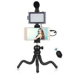 Комплект блогера 4в1 (свет, крепление, держатель для телефона, микрофон) цена и информация | Осветительное оборудование для фотосъемок | kaup24.ee