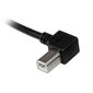 Startech USBAB1ML, USB A/USB B, 1m hind ja info | Kaablid ja juhtmed | kaup24.ee