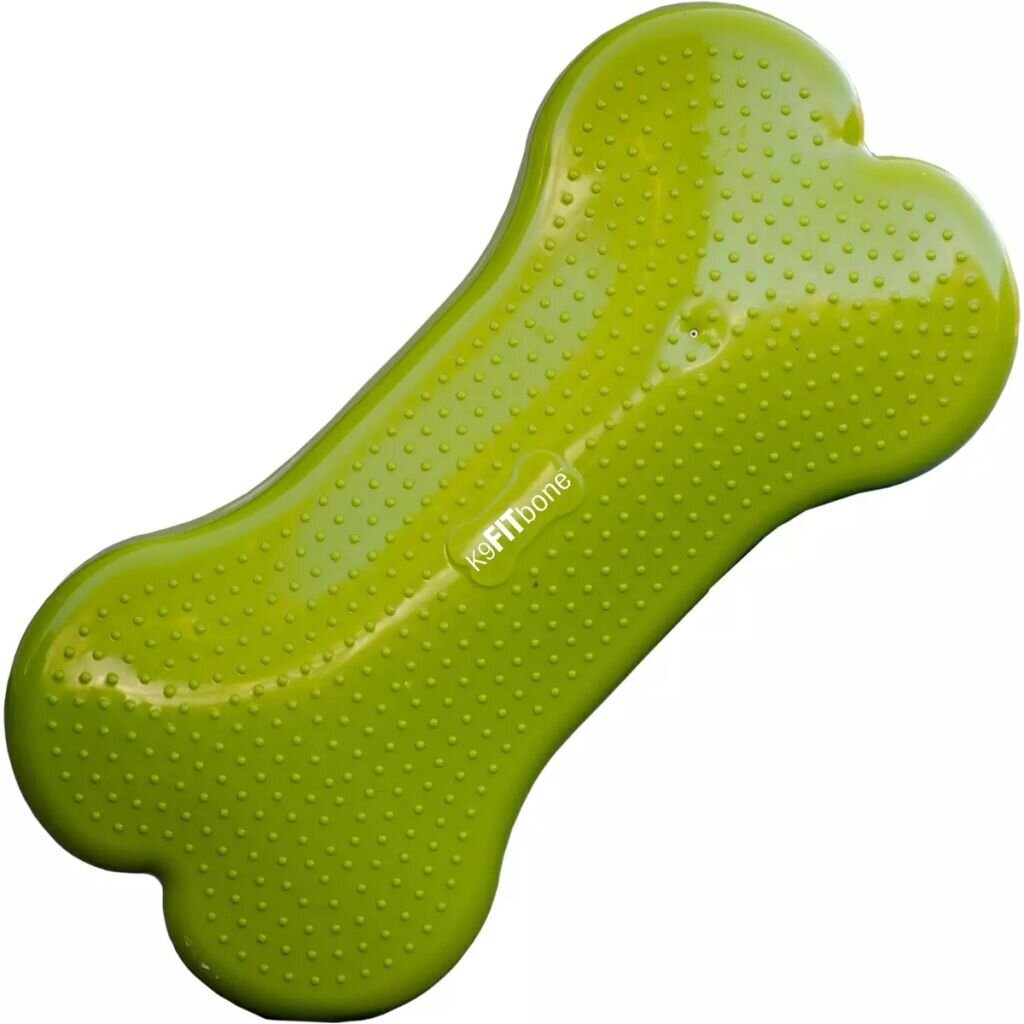 FitPAWS lemmiklooma tasakaaluplatvorm "K9FITbone", PVC, roheline hind ja info | Dresseerimise vahendid koertele | kaup24.ee