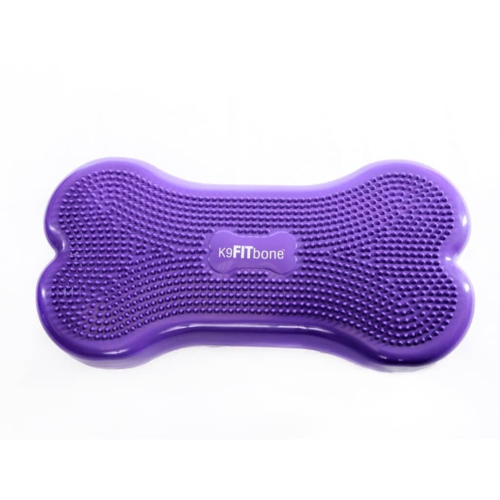 FitPAWS lemmiklooma tasakaaluplatvorm Giant K9FITbone PVC, violetne hind ja info | Dresseerimise vahendid koertele | kaup24.ee