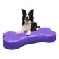 FitPAWS lemmiklooma tasakaaluplatvorm Giant K9FITbone PVC, violetne hind ja info | Dresseerimise vahendid koertele | kaup24.ee