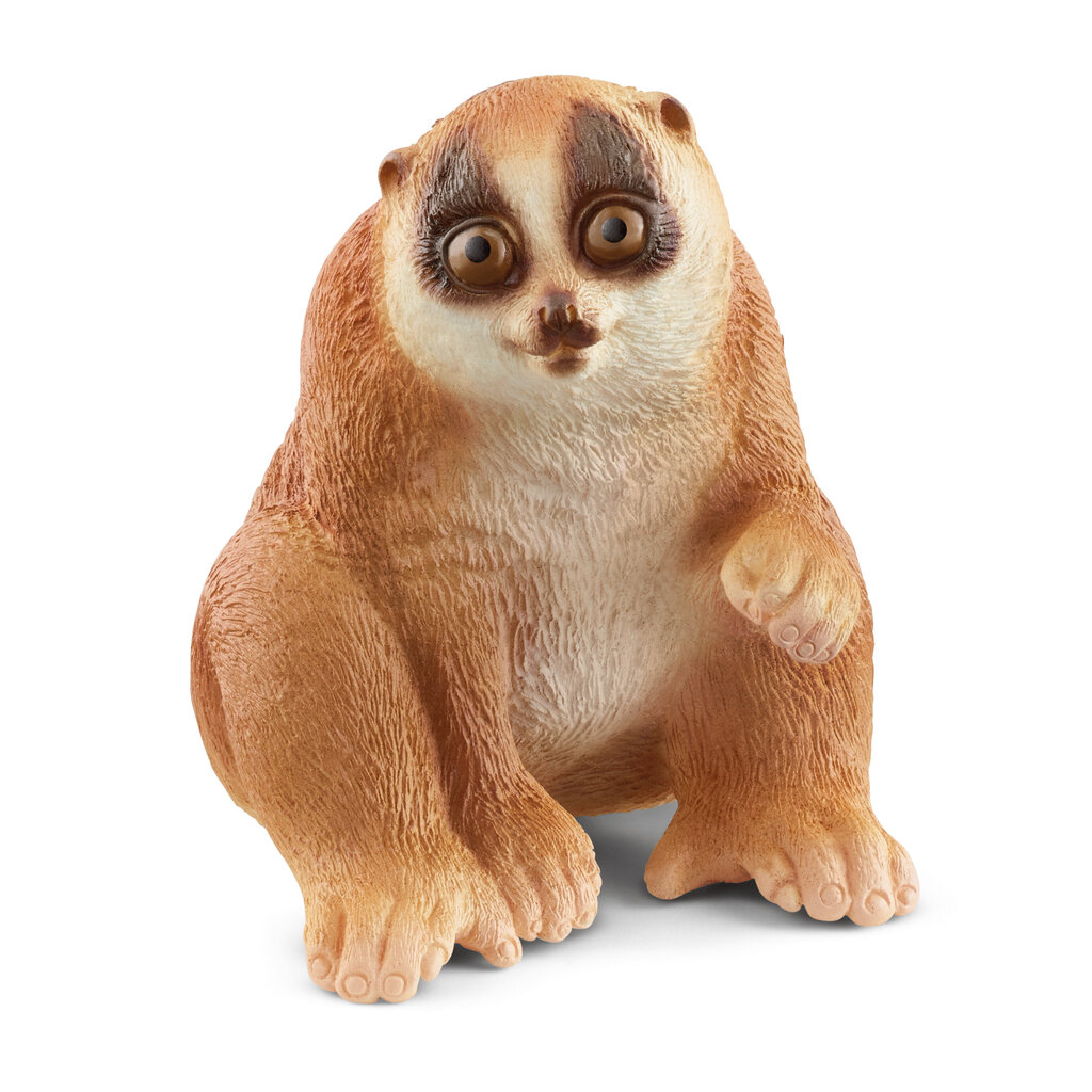 Aeglane loris Schleich Wild Life, 1 tk цена и информация | Tüdrukute mänguasjad | kaup24.ee