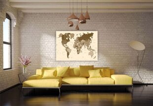Cork pilt - maailmakaart tihvtidega. Pruun. цена и информация | Картины, живопись | kaup24.ee