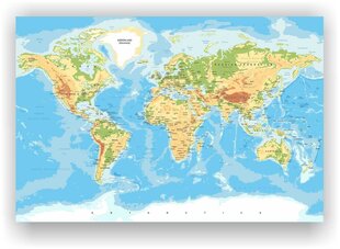 Korgipilt - maailma geograafiline kaart tihvtidega. hind ja info | Seinapildid | kaup24.ee