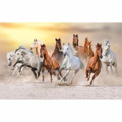 Fototapeedid hüppavatest hobustest päikeseloojangul цена и информация | Фотообои | kaup24.ee
