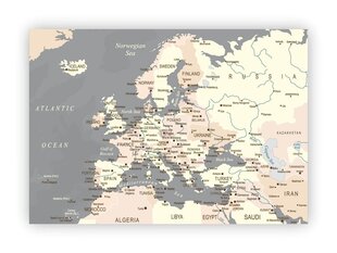 Korgist pilt Euroopa kaart, hall hind ja info | Seinapildid | kaup24.ee