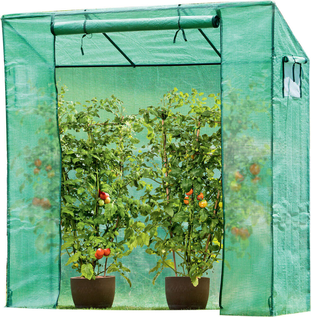 Aia kasvuhoone/lasteaed tomatitele ja kurkidele Saska aed, 198 x 78 x 200 - 180 cm hind ja info | Kasvuhooned | kaup24.ee