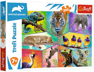 Puzzle 266 animal planet/ *200шт цена и информация | Пазлы | kaup24.ee