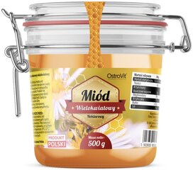 Ostrovit Mitmeõieline mesi 500 g hind ja info | Vitamiinid, toidulisandid, preparaadid tervise heaoluks | kaup24.ee