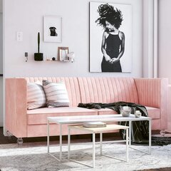 Диван CosmoLiving by Cosmopolitan Arabelle, розовый цена и информация | Диваны | kaup24.ee