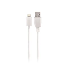 Maxlife kaabel USB - Lightning 3,0 m 2A, valge hind ja info | Mobiiltelefonide kaablid | kaup24.ee