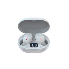 Devia Bluetooth earphones TWS Joy A6 white цена и информация | Наушники | kaup24.ee