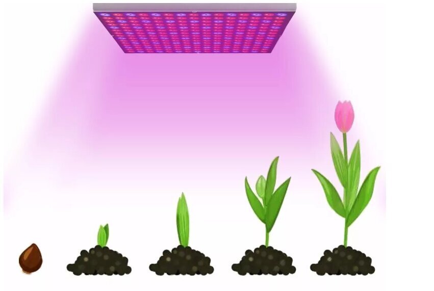 Led lamp taimede kasvatamiseks, 45 W 225D цена и информация | Nutipotid ja taimelambid | kaup24.ee