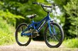 Laste jalgratas Huffy Pro Thunder 20", sinine hind ja info | Jalgrattad | kaup24.ee